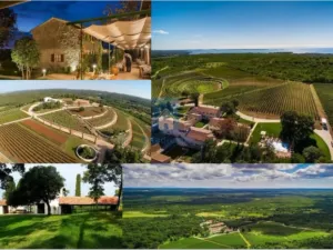 Prodej komerčního pozemku, Vodnjan,, Chorvatsko, 16809800 m2