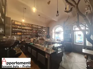 Pronájem restaurace, Praha - Staré Město, Veleslavínova, 150 m2