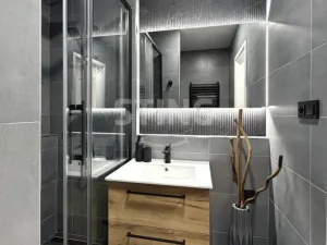 Pronájem bytu 1+kk, Ostrava - Zábřeh, 30 m2