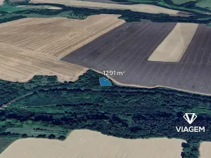 Prodej pole, Mšeno, 1291 m2