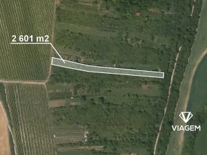 Prodej zahrady, Žarošice, 2601 m2