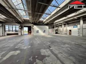 Pronájem obchodního prostoru, Ostrava, Slovenská, 992 m2