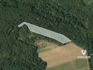 Prodej podílu lesa, Dolní Kounice, 1559 m2