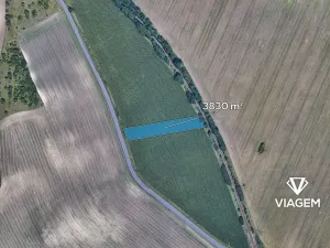 Prodej podílu pole, Valtice, 988 m2