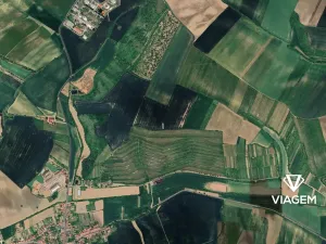 Prodej pole, Morkůvky, 295 m2