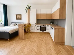 Pronájem bytu 1+kk, Brno, Údolní, 42 m2