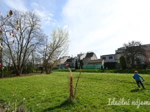 Pronájem bytu 3+kk, Brno, Čermákova, 60 m2