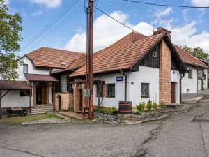 Prodej ostatní, Velké Bílovice