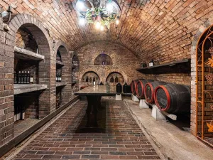 Prodej komerční, Velké Bílovice, 508 m2