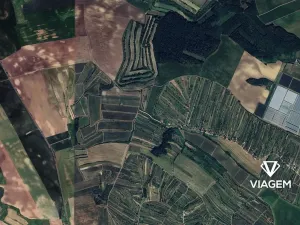 Prodej podílu pole, Mutěnice, 352 m2