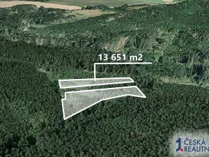 Prodej lesa, Dačice, 13651 m2