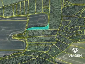 Prodej podílu lesa, Pavlíkov, 690 m2