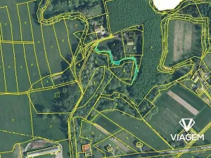 Prodej lesa, Petrovice u Karviné, 566 m2