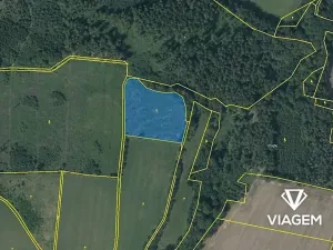 Prodej lesa, Mohelnice, 9122 m2