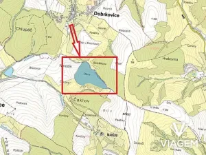 Prodej podílu lesa, Pašovice, 28955 m2