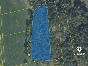 Prodej podílu lesa, Koloveč, 707 m2