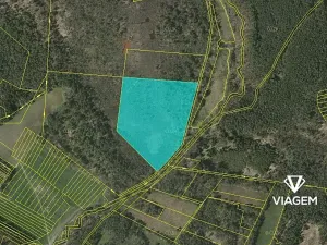 Prodej podílu lesa, Veselí nad Lužnicí, 20552 m2