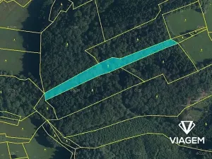 Prodej podílu lesa, Lužná, 1572 m2