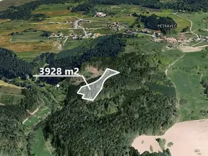 Prodej podílu lesa, Petráveč, 3927 m2