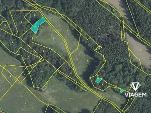 Prodej podílu lesa, Horní Habartice, 595 m2