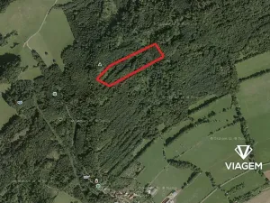 Prodej podílu lesa, Nový Jičín, 3706 m2