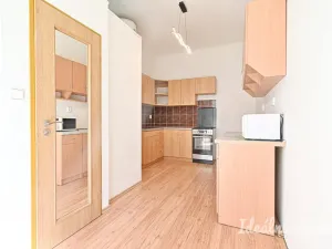 Pronájem bytu 1+1, Brno, Bratislavská, 40 m2