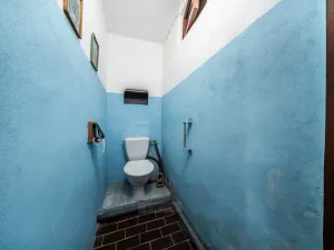 Prodej chalupy, Bujanov - Suchdol, 143 m2