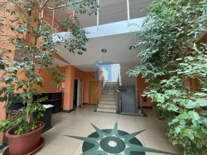 Pronájem kanceláře, Praha, Pekařská, 13 m2