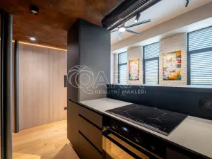 Pronájem bytu 1+kk, Praha - Holešovice, Tusarova, 53 m2