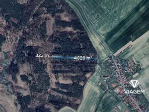 Prodej podílu lesa, Budětsko, 990 m2