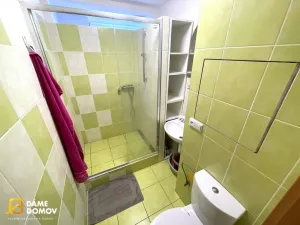 Pronájem bytu 2+1, Hodonín, Lesní, 57 m2