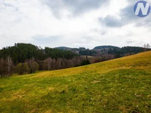 Prodej pozemku pro bydlení, Bošice, 9772 m2