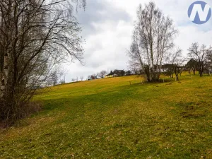 Prodej pozemku pro bydlení, Bošice, 9772 m2