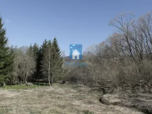 Prodej pozemku pro bydlení, Horní Vltavice, 4794 m2