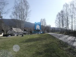 Prodej pozemku pro bydlení, Horní Vltavice, 4794 m2