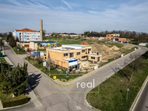 Prodej rodinného domu, Hrušovany nad Jevišovkou, 216 m2