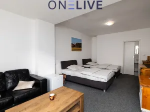 Prodej ubytování, Starý Plzenec, Masarykovo náměstí, 480 m2