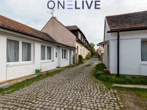 Prodej ubytování, Starý Plzenec, Masarykovo náměstí, 480 m2