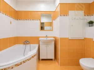 Prodej bytu 3+1, Děčín - Děčín VI-Letná, J. z Poděbrad, 70 m2