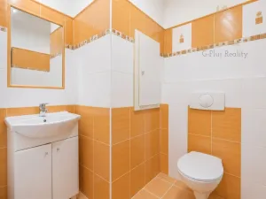 Prodej bytu 3+1, Děčín - Děčín VI-Letná, J. z Poděbrad, 70 m2