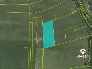 Prodej pole, Petroupim, 7931 m2