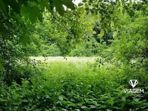 Prodej louky, Kolín, 2633 m2