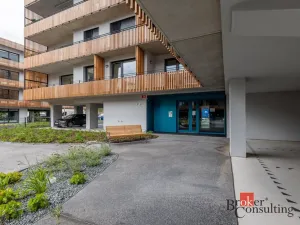 Pronájem bytu 1+kk, Plzeň - Východní Předměstí, Kartónová, 27 m2