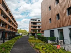 Pronájem bytu 1+kk, Plzeň - Východní Předměstí, Kartónová, 27 m2