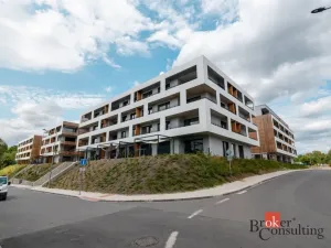 Pronájem bytu 1+kk, Plzeň - Východní Předměstí, Kartónová, 27 m2