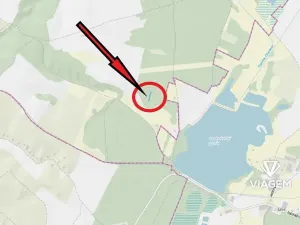 Prodej lesa, Hovorany, 1274 m2