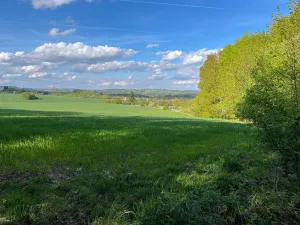 Prodej pole, Vavřinec, 6242 m2