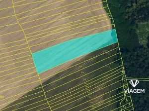 Prodej podílu pole, Kuchařovice, 2086 m2