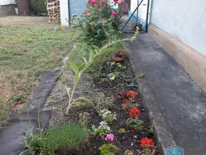 Prodej pozemku pro bydlení, Plzeň - Skvrňany, U Domažlické trati, 385 m2