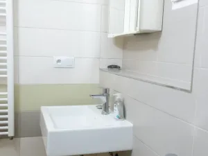 Pronájem bytu 2+1, Praha - Žižkov, Krásova, 56 m2